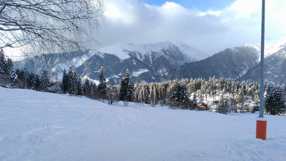 Dodo Japaridze Guesthouse Mestia Exteriér fotografie